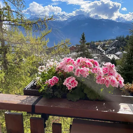 Magnifique Résidence à Quelques Pas Des Remontées Mécaniques Et Centre Montana Crans-Montana