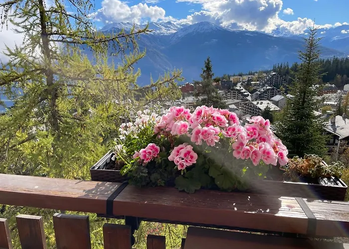 Magnifique A Quelques Pas Des Remontees Mecaniques Et Centre Montana Crans-Montana